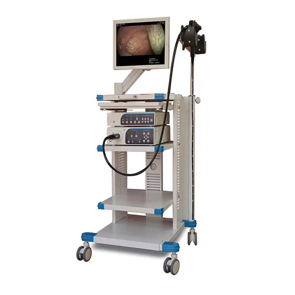 Endoscope professionnel flexible haute définition système de caméra vidéo vétérinaire endoscope chirurgical