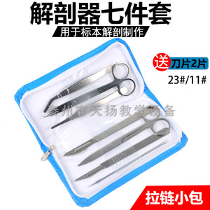 Dissection <b>Set</b> (7 pieces): 7-piece biological specimen preparation dissection needle <b>set</b>, stainless steel dissection <b>tools</b>, - Product Image 5