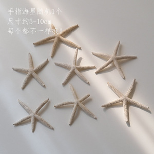 Fotografia <span class=keywords><strong>di</strong></span> stelle marine naturali KI Haihes, nail art popolare, ornamenti coreani e conchiglie - Product Image 4