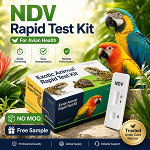 Kit <span class=keywords><strong>de</strong></span> Prueba Rápida NDV para Loros, Palomas y Aves Exóticas, Uso Veterinario, Sin Pedido Mínimo, Muestra Gratuita - Product Image 1