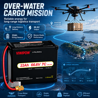 Аккумуляторный блок VIWIPOW 66.6V 18S 22000mAh 7C полутвердотельный для логистических дронов, перезаряжаемый, по заводской цене