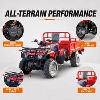 Quad 250CC 4x4 tout-terrain, véhicule utilitaire agricole, buggy 4 roues, pour adulte, plage, sable, désert, course