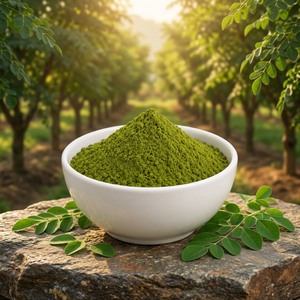 Poudre d'extrait de Moringa Oleifera en gros – Qualité fabricant – Fournisseur de poudre de Moringa Oleifera à base de plantes - Product Image 1