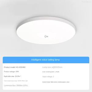 Intelligent Sensing Modern Metal & Acrylic LED Ceiling Lamp <b>for</b> Home Office <b>Stairs</b> Corridor Entrance <b>Lighting</b> - Product Image 6