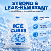 Sac à glace en LDPE épaissi, résistant aux fuites, capacité de charge de 3 kg à 10 kg, pour vente en gros aux détaillants et aux commerçants de boissons (ODM/OEM)