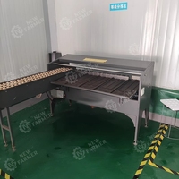 Machine de triage des œufs par poids, trieuse d'œufs avec plateau, triage automatique des œufs pour la production d'œufs à grande échelle