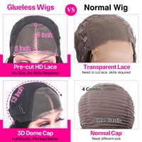 Perruque en cheveux naturels vietnamiens lisses, sans colle, avec dentelle HD 6x4, nœuds invisibles pré-décolorés et pré-épilés