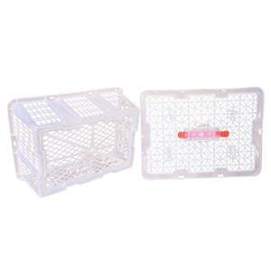 Caja de Plástico para Frutas Guangsheng, 360x260x130mm, Blanca, Material PP Virgen, Absorción de Humedad, Almacenamiento - Product Image 4