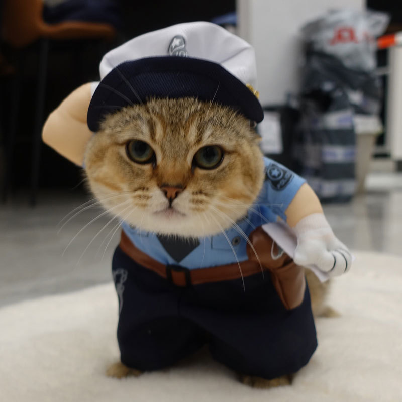 Traffic police