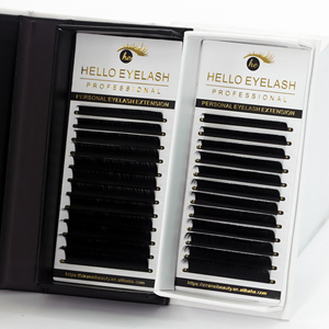 Volume <span class=keywords><strong>Master</strong></span> 0.05 <span class=keywords><strong>Extensiones</strong></span> de Pestañas Super Finas Premade Fans Mega Bloom Tray 10D 14mm Suministro Profesional para Artistas de Pestañas Avanzados - Product Image 1