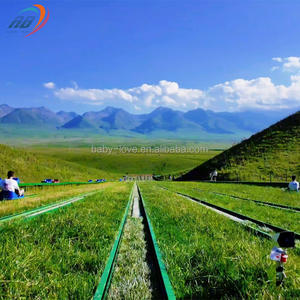 Nouvelle Conception de Glissade sur Gazon pour Enfants et Parents, Grande Piste d'Amusement, <span class=keywords><strong>Ski</strong></span> sur Gazon, Fabricants Chinois, En Vente - Product Image 4