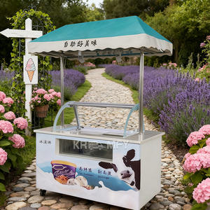 Carrito de Venta Ambulante de Helados y Gelato Estilo Clásico, el Más Vendido del 2025 - Product Image 4