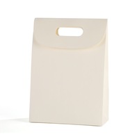 Enveloppe de shopping en gros, recyclable, écologique, imperméable, pochette de présentation pour emballage de détail, en carton blanc épais, pour vêtements de luxe