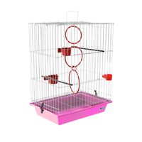 Volière pour oiseaux en fer durable, design moderne, avec gamelles, abreuvoir, poignée de transport, assemblage simple, plateau en plastique