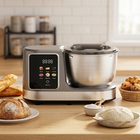 Robot pâtissier OEM 5L 500W avec bol mélangeur en acier inoxydable pour la maison