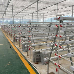 מערכת הידרופונית NFT לחסכון במים, מדפי גידול ירקות הידרופוניים, תעלות צינורות <span class=keywords><strong>PVC</strong></span> לחקלאות מסחרית בחממות - Product Image 5