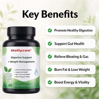 Complément Probiotique et Minceur en Gros OEM pour Femmes et Hommes avec Thé Vert pour le Soutien Digestif et la Gestion du Poids