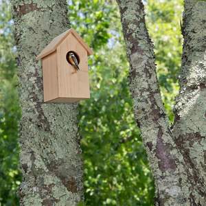 Nichoir à oiseaux en bois naturel fait à la main, décoratif, suspendu, durable, avec 4 trous, pour l'extérieur - Product Image 2