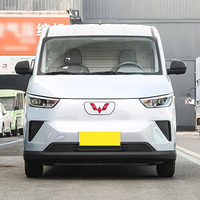 2024 dernier fourgon de transport électrique pur autonomie de 300km 0.5h charge rapide Wuling Yangguang EV 4 portes 2 places Mini fourgonnette
