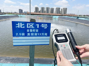 Wasser qualitäts prüfgeräte mit tragbarem <span class=keywords><strong>DO</strong></span>-Messgerät für gelösten Sauerstoffs ensor - Product Image 5