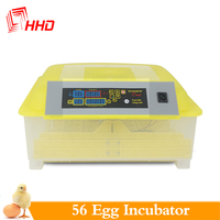 Howard fabrication la plus vendu oeuf incubateur 12v 220v oeuf incubateur bacs à eau