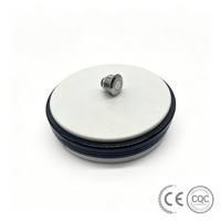 Interrupteur à bouton-poussoir tactile de 19 mm, tête ronde en métal, borne à vis, 1NO, CE, RoHS, pour contrôle industriel