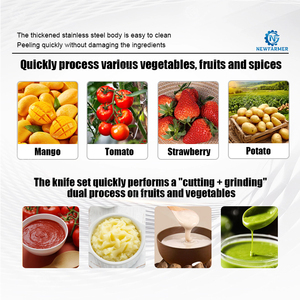 Macchina Compatta per la Produzione di Passata di Pomodoro, Estrattore di Polpa di <span class=keywords><strong>Frutta</strong></span> Salvaspazio per Piccoli Laboratori di Lavorazione - Product Image 3