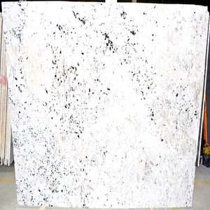 Grande dalle de granit crème colonial, pierre polie personnalisable pour comptoir, table, mur intérieur, sol - Product Image 2