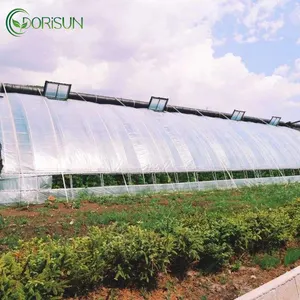 Simple And Easy To Operate, Which Everyone Likes To Use Single Span Greenhouse Agricultural Greenhouse