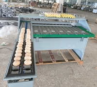 Machine de triage automatique des œufs, machine de triage et d'emballage des œufs commerciale avec service de commande en gros pour les grandes industries agroalimentaires