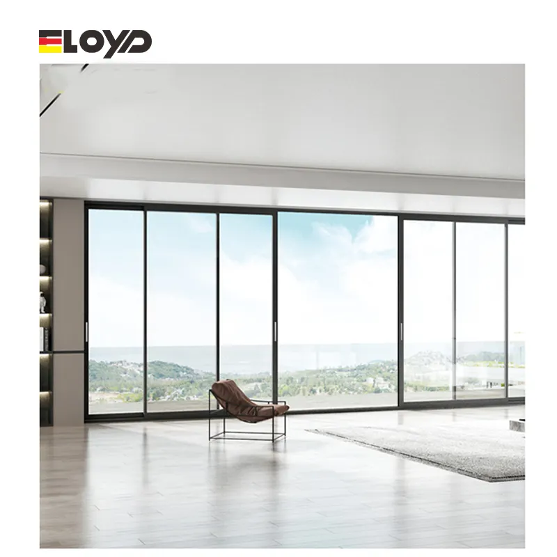 Eloyd L Ultra Slim 2 Pista Puertas corredizas de vidrio Nuevo producto Puertas de partición