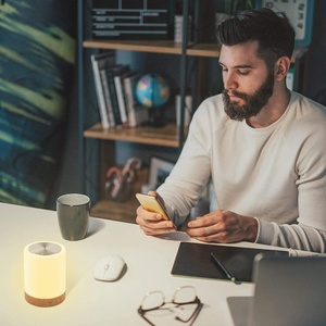 Lampes de nuit LED, nouvelle lampe de table LED moderne, lampes de nuit d'ambiance, lampe de table, lampe de nuit pour le camping, pour la chambre à coucher, le salon, l'extérieur - Product Image 6