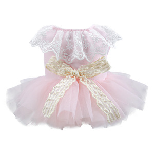Falda de tul rosa para perro, vestido estilo princesa, tutú de encaje de hadas, atuendo para mascotas, para las cuatro estaciones - Product Image 5
