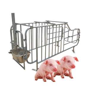 Système de cages Hengyin pour l'élevage : Cages de maternité pour truies - Product Image 2