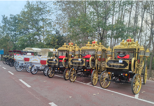 2026 HYS Chariot électrique de type <span class=keywords><strong>Chuck</strong></span> <span class=keywords><strong>Wagon</strong></span> pour la visite royale des monuments à vendre - Product Image 5