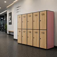 Casier de gym compact Brikley personnalisé en stratifié HPL, résistant à l'humidité, avec serrure RFID pour écoles, gymnases et couloirs