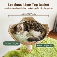 Structure d'escalade pour chat en bois naturel, grand modèle, luxe classique moderne, avec lit moelleux, écologique, montage facile, emballage carton tressé