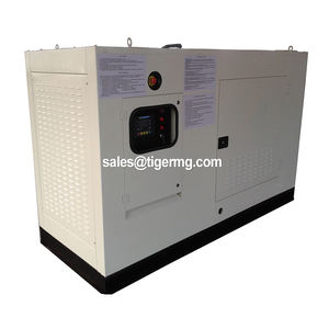 2Mw 60kw 100kw 150kva 200kva Kleine Maat Tweedehands Biogas <span class=keywords><strong>Turbine</strong></span> Generatoren Prijs Voor Prijs - Product Image 6