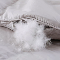 Couette d'été matelassée confortable taille King, respirante et rafraîchissante, 500g, mélange coton-polyester, stérilisée, sans odeur, OEM