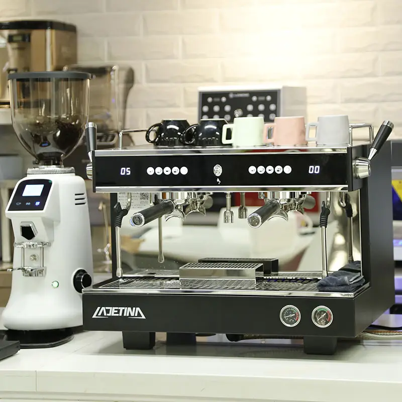 LADETINA iki grup Egret BL2 ticari yarı otomatik kahve makinesi çekme kolu buhar kahve makinesi