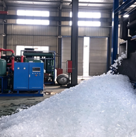Machine à glace industrielle monophasée de 1 tonne, 220V 50Hz, refroidissement par air, compresseur, capacité de 500 kg pour site de production de glace en zone rurale