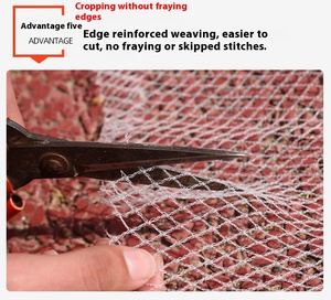 Nhà máy trực tiếp tùy chỉnh-thực hiện Polyethylene (<span class=keywords><strong>PE</strong></span>) nhựa nông nghiệp chim lưới chống mưa đá lưới - Product Image 2