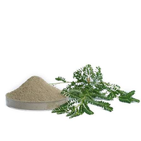 Extrait sec de Phyllanthus Niruri Bhuiamla de qualité supérieure, poudre naturelle d'ingrédient botanique à base de plantes pour le bien-être et les compléments nutritionnels