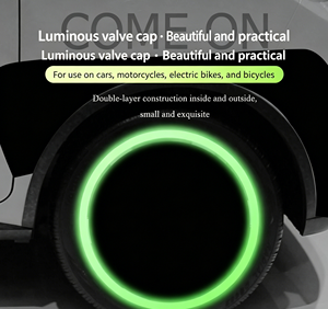 Lot de 4 capuchons de valve lumineux phosphorescents, universels, anti-poussière, pour voiture, moto, vélo - Product Image 2