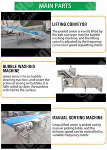 Máquina automática de producción de molinillo para pelar y moler ajo, línea de procesamiento de polvo de ajo - Product Image 2