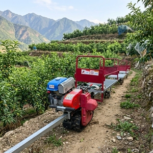 Monorail Orchard Transporter for Farm Gasoline Engine Rail Transporter Cargo Transport Vehicle Trolley - Product Image 1