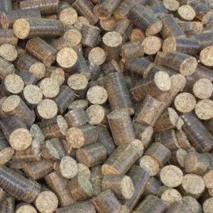 Briquetas de Biomasa de Cáscara de Cacahuete Premium, Combustible 100% Natural, Ideal para Plantas Térmicas, Calderas y Energía Limpia - Product Image 3
