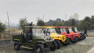 Mini Jeep de Fabricantes de Primera Calidad, Precio Económico, 4 Asientos, Transporte Especial con Certificación CE, Precio Bajo - Product Image 2