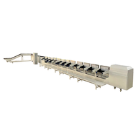 Fruit Sorteermachine Apple Sortering Lijn Automatische Fruit En Groente Reinigings-En Sorteermachine