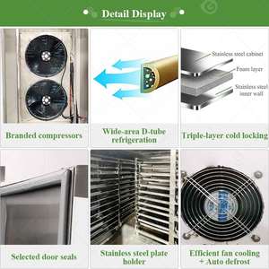 Congelador Industrial Pequeño de Acero Inoxidable Italiano Económico de 10x10 y Equipo de Congelación Rápida para Mariscos Iqf - Product Image 3